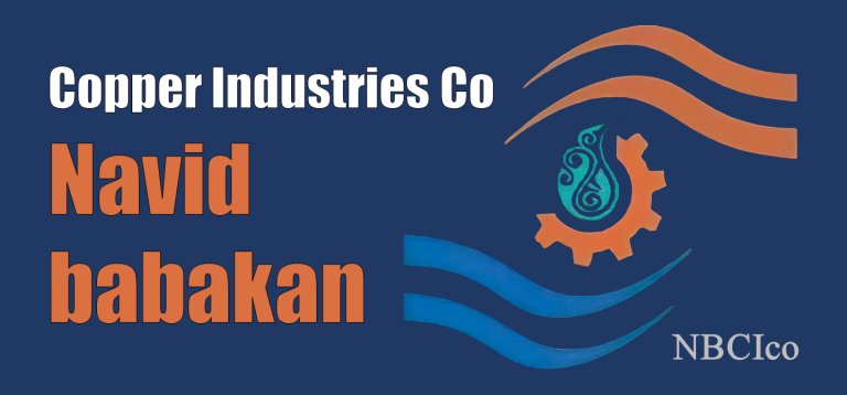 Navid Babaka Company